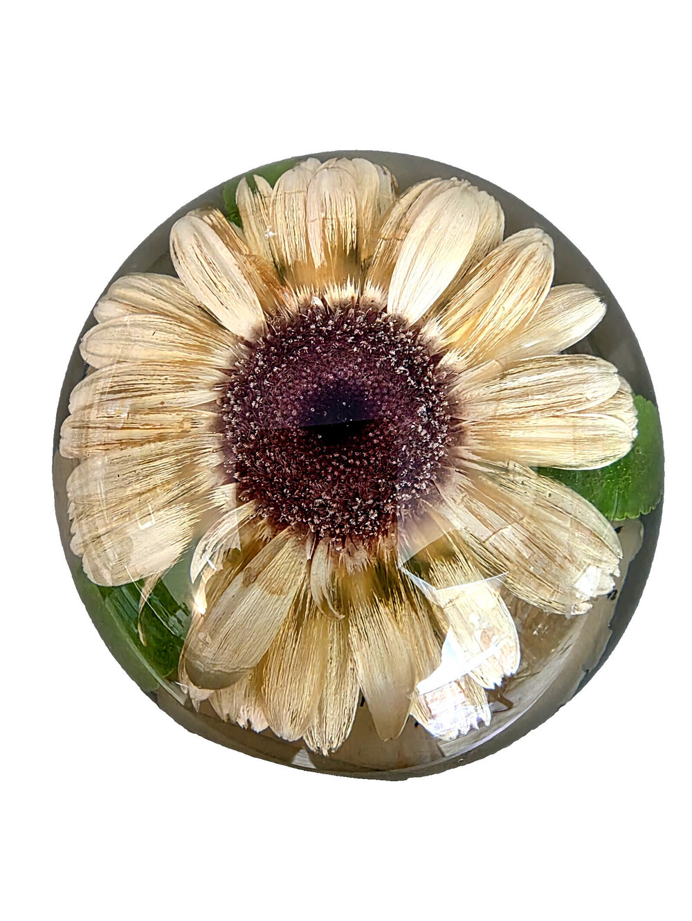 Vintage W. Rolfe Lucite or acrylic flower design paperweight signed